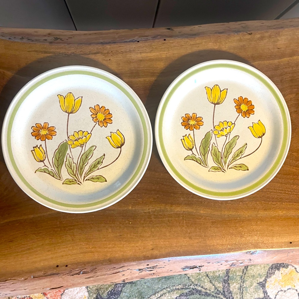 Two Vintage Country Casual Stoneware Sunnyvale 10 1/2" Dinner Plates Japan